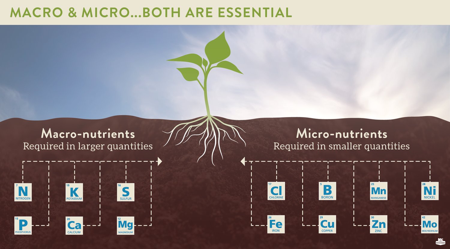 what-nutrients-do-plants-need